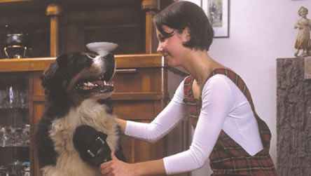 Misión, Visión y Valores